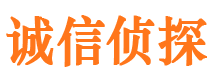 普安市调查公司